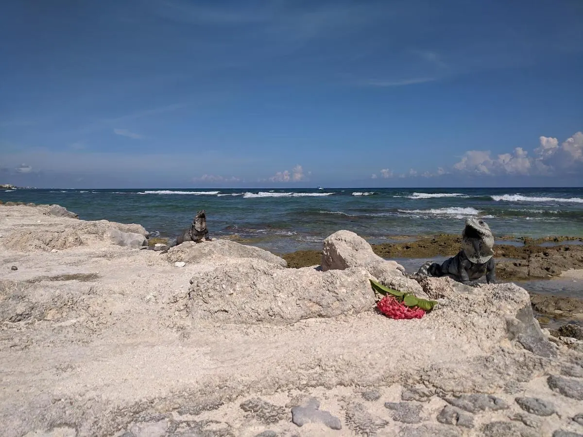 Bahia Principe & Golf Residences Tulum Apartman